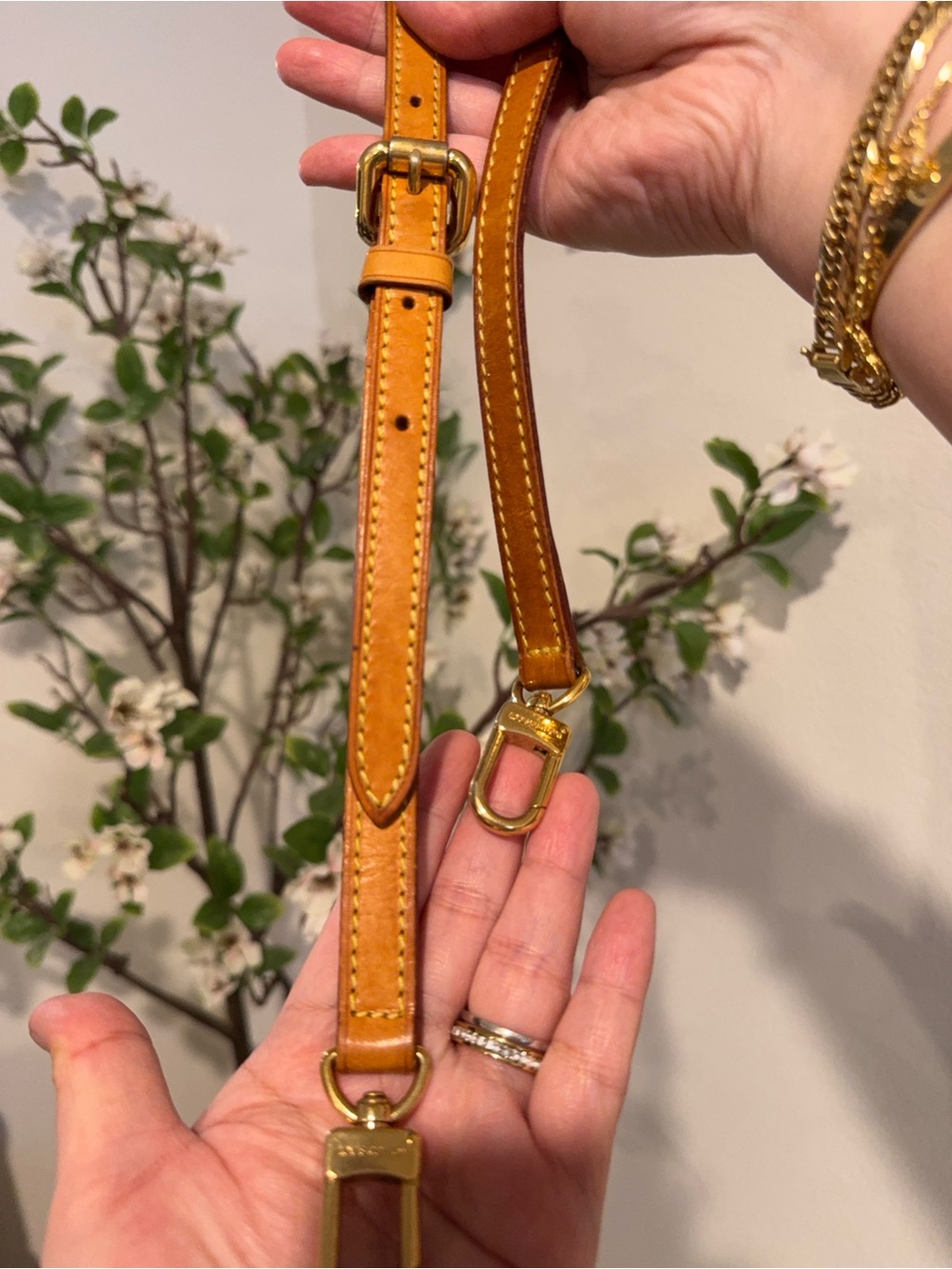 LV Palermo Pm - Picture 10 of 13